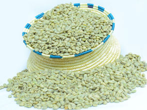 ነሐሴ 12፣2015 - የኢትዮጵያ ቡናና ሻይ ባለስልጣን ቡና በህገ-ወጥ መንገድ ከሀገር እንዳይወጣ ክትትል እያደረኩ ነው አለ