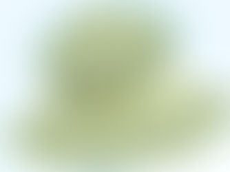 ነሐሴ 12፣2015 - የኢትዮጵያ ቡናና ሻይ ባለስልጣን ቡና በህገ-ወጥ መንገድ ከሀገር እንዳይወጣ ክትትል እያደረኩ ነው አለ