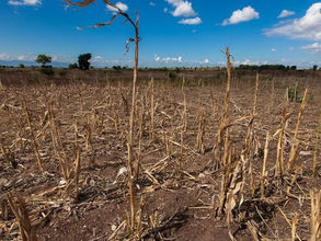 ጥቅምት 26፣2016 - በድርቁም፣ በፀጥታውም ሰዎች ችግር ላይ ቢወድቁም ረሃብ ስለመከሰቱ መንግስት ማረጋገጫ ያስፈልጋል ብሏል