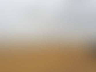 ሐምሌ 18፣2015 - ቦረና ዞን አሁን ላይ ከ95 ሺህ ሄክታር በላይ መሬት ታርሷል ተባለ