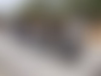 ህዳር 24፣2017 - የቀድሞ ተዋጊዎች መልሶ ለማቋቋም የተጀመረውን ስራ በእቅዱ መሰረት ለመጨረስ የተሃድሶ ኮሚሽን የቅበላ አቅሙን ጨምሯል ተባለ