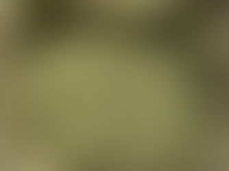 ጥር 28፣2016 - አዲሱ የአውሮፓ ህብረት አስገዳጅ ህግ በኢትዮጵያ የቡና ንግድ ላይ ምን ተፅዕኖ ይኖረው ይሆን?