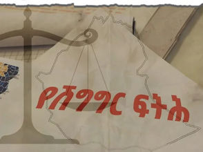 ግንቦት 7፣2016 - ኢትዮጵያ የሽግግር ፍትህን ተግባራዊ ለማድረግ በምትከውነው ስራ የውጭ ሃገር ዜጎች እንደሚሳተፉ በፖሊሲው ላይ ሰፍሯል