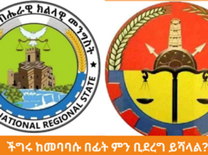 መጋቢት 20፣2016 - ችግሩ ከመባባሱ በፊት ምን ቢደረግ ይሻላል? 