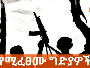 ጥር 17 2017 - ‘’የመንግስት የፀጥታ ሀይሎች በዜጎች ላይ የሚፈፀሙት ግድያዎች ተባብሷል’’ ኢሰመኮ