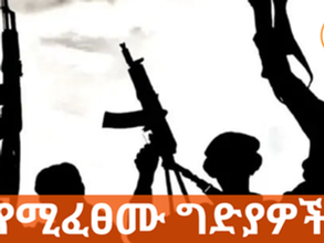 ጥር 17 2017 - ‘’የመንግስት የፀጥታ ሀይሎች በዜጎች ላይ የሚፈፀሙት ግድያዎች ተባብሷል’’ ኢሰመኮ
