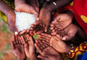 መጋቢት 4 2017 - በሰሜን ወሎ ዞን የቡግና ወረዳ ነዋሪ የምግብ ድጋፍ ካገኙ ከሀያ ቀን በላይ ሆኗቸዋል ተባለ