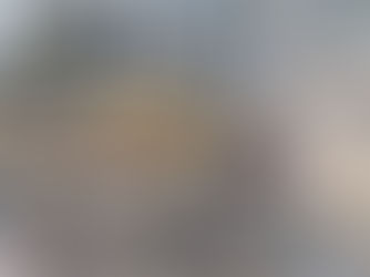 ሚያዝያ 18፣2016 - ምክር ቤቱ የኮሪደር ልማት አፈፃፀም ሪፖርትን ጨምሮ ሌሎች ጉዳዮች እየተመለከተ ነው