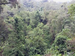 ግንቦት 1፣2016 - የውጭ ባለሀብቶች ብዛትን በተመለከተ በሁለት የመንግስት ተቋማት ልዩነት ያለው አሃዝ የያዘ ሪፖርት መቅረቡ ጥያቄ አስነስቷል