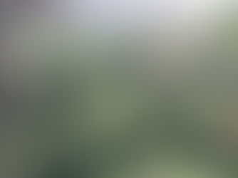 ግንቦት 1፣2016 - የውጭ ባለሀብቶች ብዛትን በተመለከተ በሁለት የመንግስት ተቋማት ልዩነት ያለው አሃዝ የያዘ ሪፖርት መቅረቡ ጥያቄ አስነስቷል