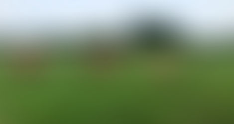 Veterano del ejército triunfa en la industria láctea y cremosa.