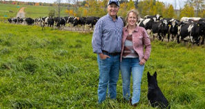Man, woman and black dog in field with cows