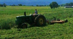 Pasa Sustainable Agriculture Dairy Pastorking Apprentice Graduate estudiará en Nueva Zelanda