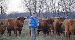 farmer and cows in field