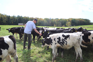 Dairy Grazing Alliance incorpora tres profesionales estratégicos para acelerar el crecimiento del sector ganadero lechero estadounidense.