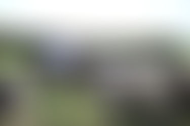 Dairy Grazing Alliance incorpora tres profesionales estratégicos para acelerar el crecimiento del sector ganadero lechero estadounidense.
