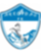 FK Arkadag Club Badge