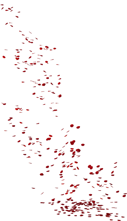290566987028211.png
