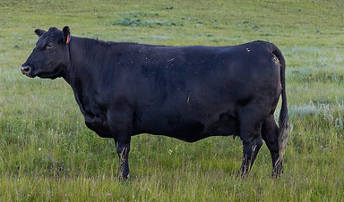 GGA 10B - 2.jpg