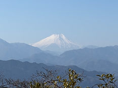 fuji(20260215).jpeg