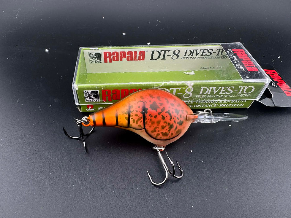 Thumbnail: Custom Rapala DT8- 2 For $30