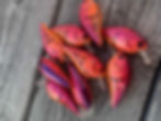 Thumbnail: FC 1.5 One Knocker Sq Bill-2 For $20