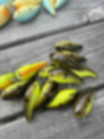 Thumbnail: Baby 1 Minus- Fulks Bait Co -2 For $30