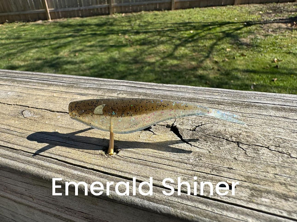 Thumbnail: Fulks Forward Shad (FFS)
