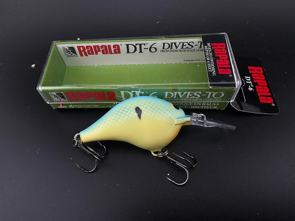 Thumbnail: Custom Rapala DT6- 2 For $30