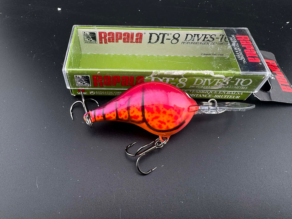 Thumbnail: Custom Rapala DT8- 2 For $30
