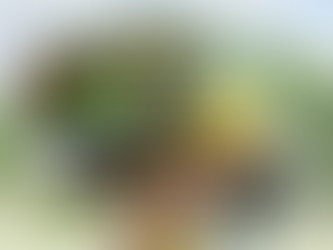 เกษตรกรยุคใหม่ใช้สินเชื่อธุรกิจเกษตร เสริมทุนการผลิตและต่อยอดสู่เกษตรแปรรูป #สินเชื่อธุรกิจเกษตร #SMEEasyCapital #เกษตรแปรรูป