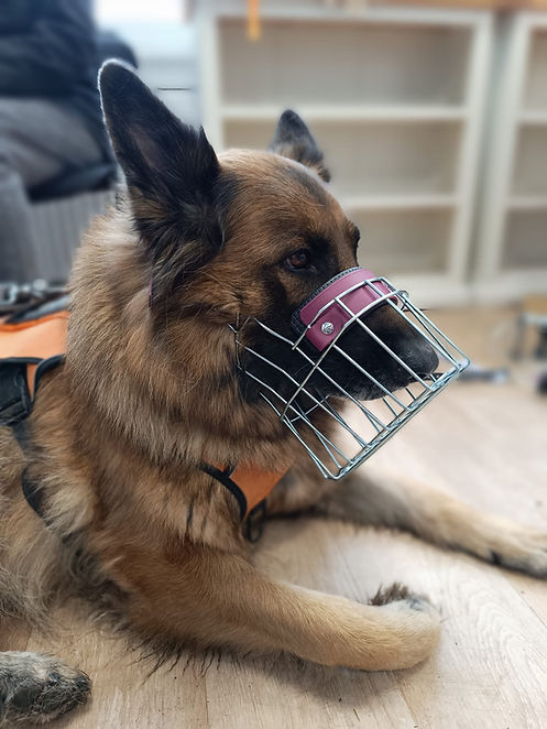 WhatsApp Image 2026-02-28 at 14.05.41.jpeg