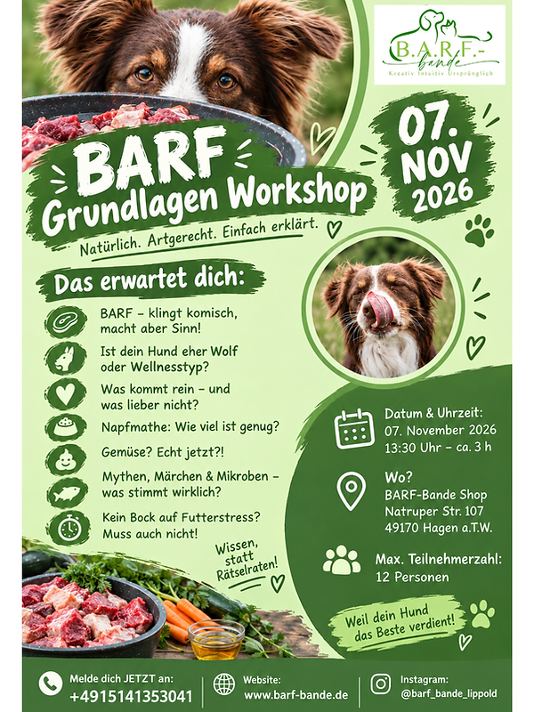 Design ohne Titel (3).png
