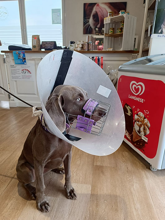 WhatsApp Image 2026-02-28 at 14.55.04.jpeg