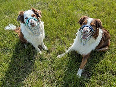 WhatsApp Image 2026-02-28 at 15.03.51.jpeg