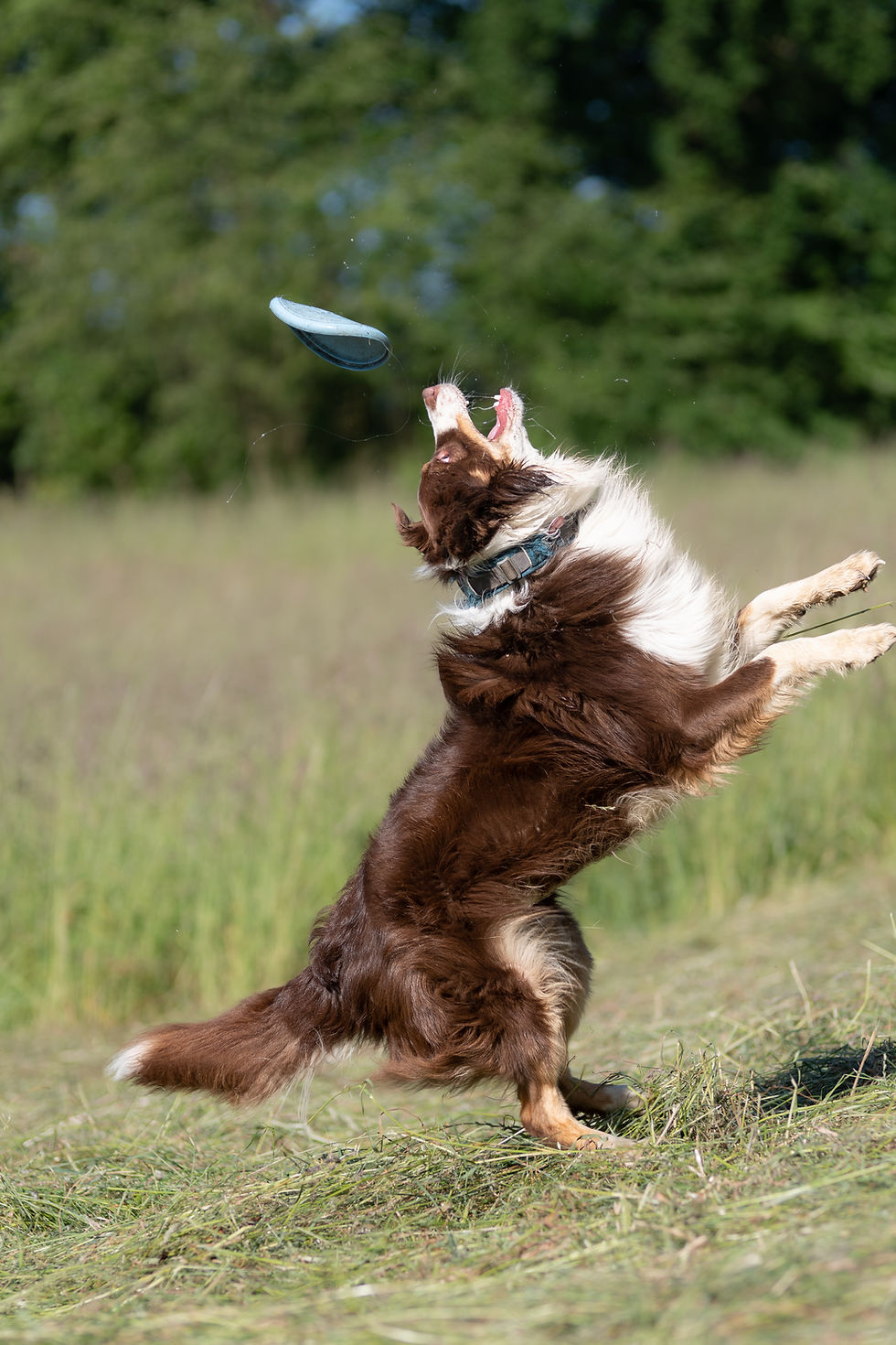 Action!
