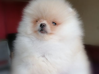 New updates to the Available page