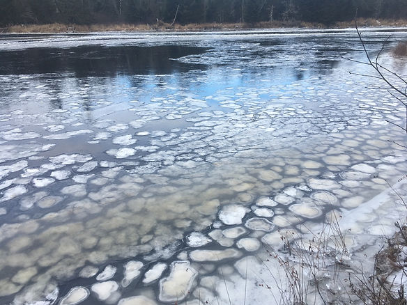 River ice.jpeg