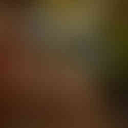 Intimate evening dining experience under the lights at a bistro-style restaurant in Nusa Dua