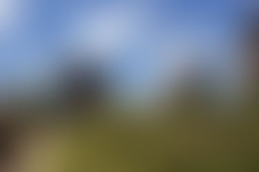 Colaboradores da hotelaria e gastronomia podem conhecer o Parque Vila Velha na próxima segunda-feira