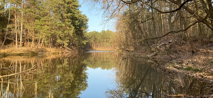 Silbersee.png