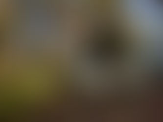 Heads up! ...unsere neue Website kommt ;)