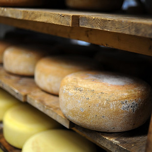 Fromage_de_vache_Gaston_Febus_-_Laits_Pt