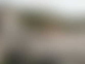 京都着物レンタル　極藤之嘉