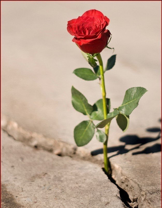 7 Ways to Build Resilience