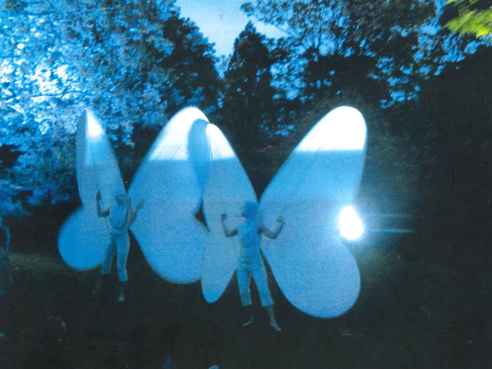 Giant Butterflies: Bath Fringe Festival - 2005