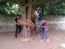 Willow Snake