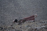 DSC02141.JPG