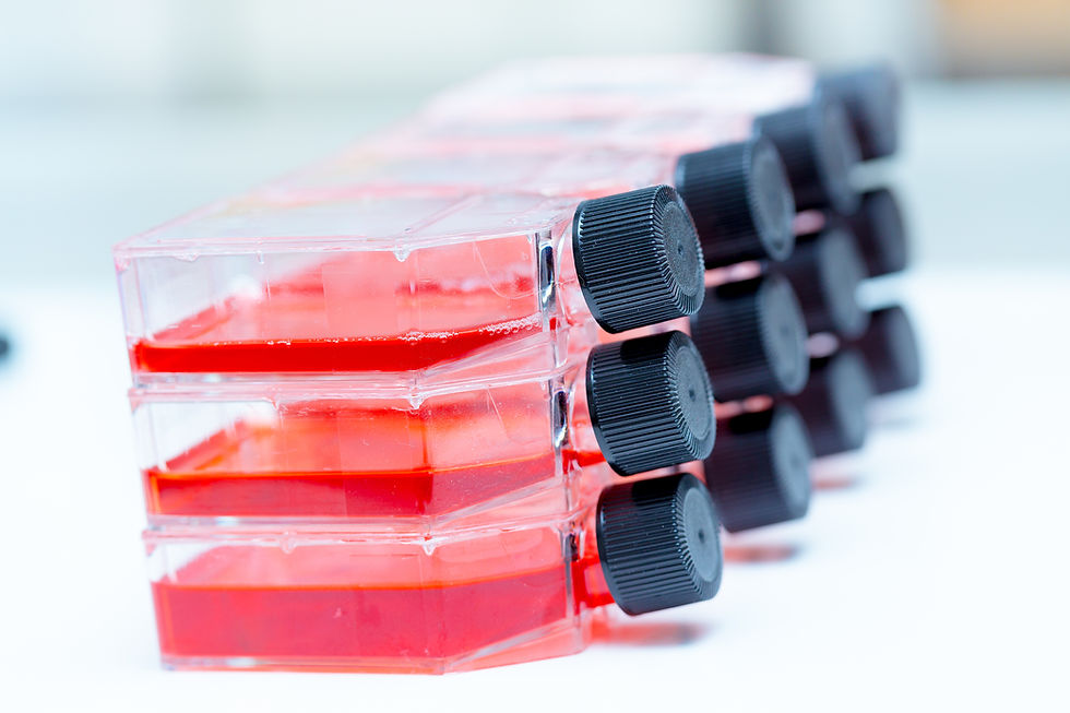 Cell Culture