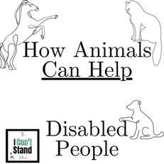 How Animals Can Help Disabled People ๐ฆฎ๐๐